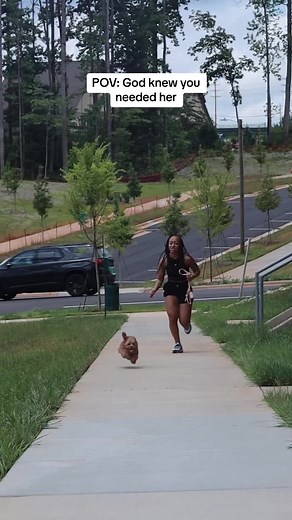 Cute Cavapoo Puppy Training and Bath Time Fun