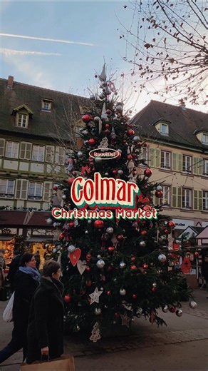 Colmar’s Christmas market feels like a real-life fairytale ✨🎄 Half-timbered houses, glowing canals, and festive stalls tucked into every corner make this Alsatian town unbelievably charming. With twinkling lights, traditional treats, and storybook streets, Colmar truly comes alive during the holidays. #ColmarChristmasMarket #ChristmasInColmar #AlsaceInWinter #EuropeanChristmas #FairytaleTown | TripZinga