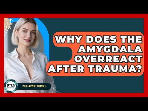 Why Does The Amygdala Overreact After Trauma? - PTSD Support Channel