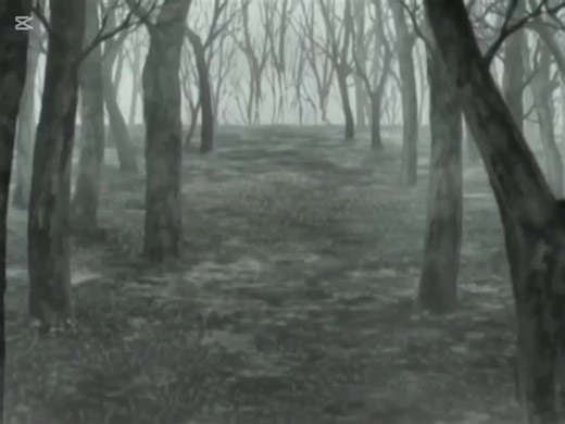 Yuki Cross and the Vampire Knight Saga