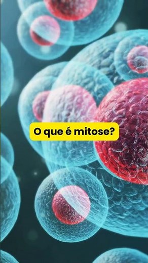 O Que é Mitose? Entenda Como Suas Células Se Dividem para Manter Você Vivo