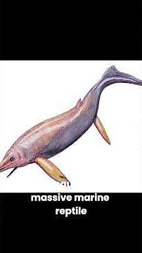 the 5 biggest animals that ever lived