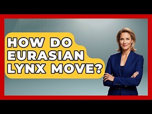 How Do Eurasian Lynx Move? - The Wild Life Explorer