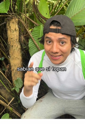 ¿Por qué terminamos en el hospital? Respuestas con Shit Vlogs