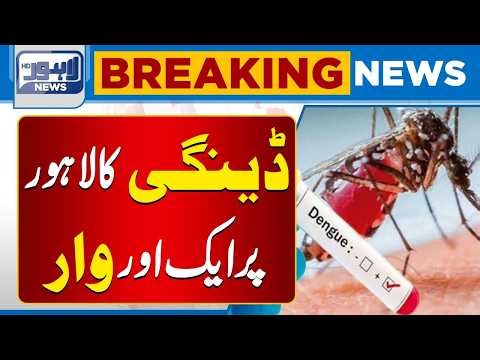 Dengue Mosquito Report Released | Health Alert Issued | Breaking News | Lahore News HD