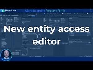 Mendix Entity Access Editor – How to Manage Security More Visually
