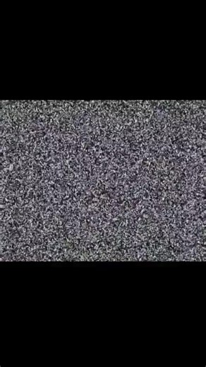 #spongebobsquarepants #meme #fyp | spongebob squarepants