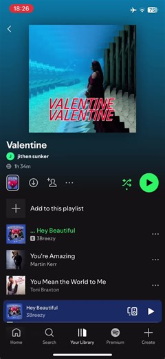 Playlist para pedirle a mi Valentina