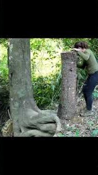 100 Days Inside a Giant Tree 🌳 Creating a Secret Forest Hideaway