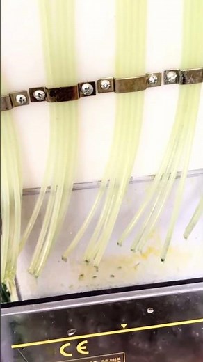 Metered-dose lubrication systems (PDI) for thin oil and grease