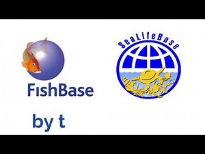 FishBase and SeaLifeBase by the numbers