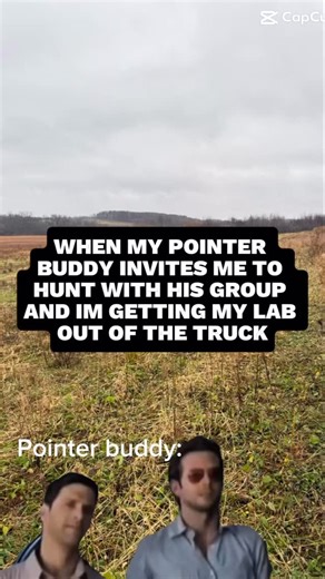 5.2K views · 937 reactions | I’m definitely not all there #pheasanthunting #pheasant #upland #hunting #hunt #birddog #gundog #dog #yourdogsucks | Cock Patrol | Facebook