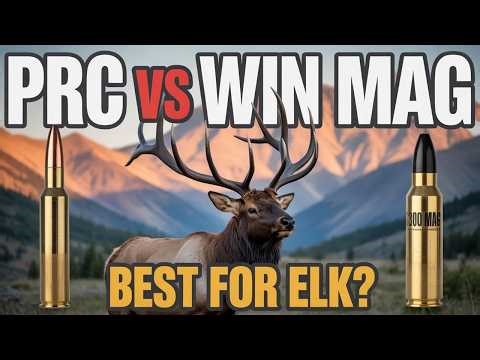 300 PRC vs 300 Win Mag: Which Is Better for Elk hunting?