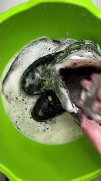 FROM TRASH TO WEARABLE 😱 Extreme Shoe Cleaning 🧼 DIRTY ➜ CLEAN #shoecleaning #bootcleaning