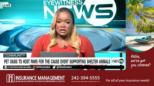 Pet Oasis to host Paws for the Cause event supporting shelter animals | Eyewitness News Bahamas