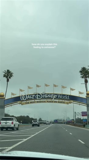 Experience the Magic of Disney World