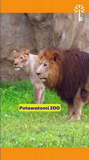 🦁 Free tickets to museums and attractions 🌸 Elkhart Indiana