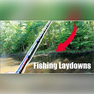 How to Fish Laydowns | Brian Latimer