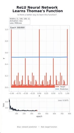 Can Neural Network Learn Thomae’s Function?