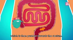 What_if_You_Hold_Your_Poop_For_Too_Long____How_Digestive_System_Works____The_Dr_Binocs_Show_For_Kids