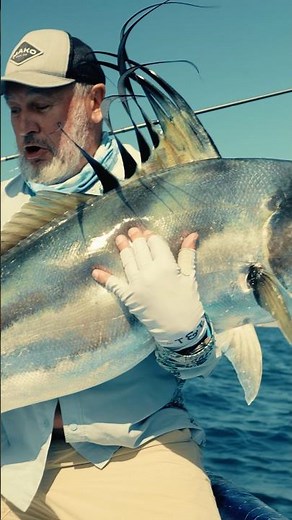 Massive Roosterfish. Huge emotions. 🔥 #flyfishing #fishing