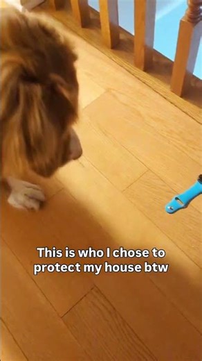 The Apple Watch Series 2… Noodle’s biggest opp 😤