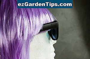 Come propagare un Portulaca 🌱 Consigli Giardinieri - It.ezGardenTips.com