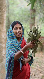 200K views · 4.7K reactions | তেজপাতার গাছ殺 | Treesun Cook World | Facebook