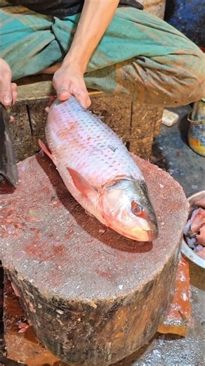 Rohu fish Cutting
