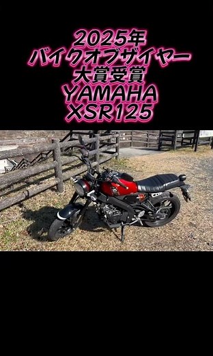 2025年バイクオブイヤー大賞受賞YAMAHAのXSR125#バイク#yamaha#yamahaxsr125#原付2種#エンジン音