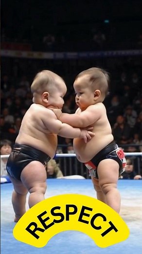 Epic Sumo Moments #sumo #japan #shortsfeed