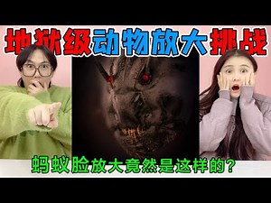 Infernal Zoom Challenge! After magnifying 100 times, the face of the ant looks like a "monster"?