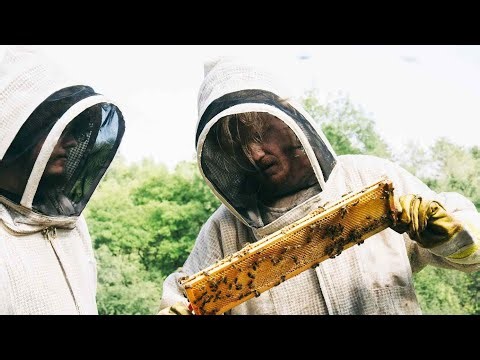 Sound Designer Cracks the ‘Pitch of Bees’ to Build a Disturbingly Paranoid Soundscape