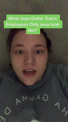 Dollar Tree Cool Finds on TikTok