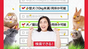 2.9K views · 403 reactions | ＼JTBダイナミックパッケージ✈／ 【こだわり検索】でペットと一緒に泊まれるお宿を簡単検索✨ ☑超大型犬（40kg以上）同伴が可能 ☑猫同伴が可能 ☑犬/猫以外のペット同伴が可能 などなど、こだわり検索で家族が笑顔になれる旅行を‍♀️ | JTB | Facebook