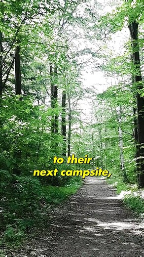 What is going on in Great Smoky Mountains National Park? #reels #storytelling #hiking | Kyle Hates Hiking