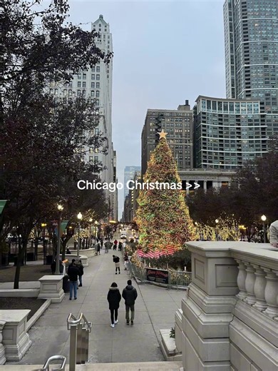 Experience the Best Chicago Christmas Celebrations