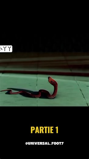 Malitechnologie : Visibilité et Film