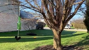 2.6K views · 62 reactions | DIY Wind Chime | Windy City Crafts | Facebook