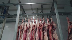clip-1095822593-meat-factory-production-cow-carcasses-hanging-freezer