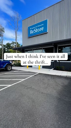 597K views · 7.1K reactions | Hard to pick a favorite thrift item today…but it’s the mirror 爵 #thriftedhomedecor #thriftedhome #vinatge #antique #vintagefinds #HabitatForHumanity #HabitatReStore #thrifting #thriftstorefinds #thriftstore #thriftfinds #thriftshop #thrifted #goodwill #goodwillhunting #goodwillhaul #goodwillfinds | Candy Thrifts | Facebook