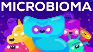31K views · 380 reactions | What happens when microbes talk to your brain? Our video "How Bacteria Rule Over Your Body – The Microbiome" is now available in French, Brazilian Portuguese and Korean: https://kgs.link/3G6oyRq Or rewatch the English version here: https://kgs.link/3UJB3se | Kurzgesagt | Facebook