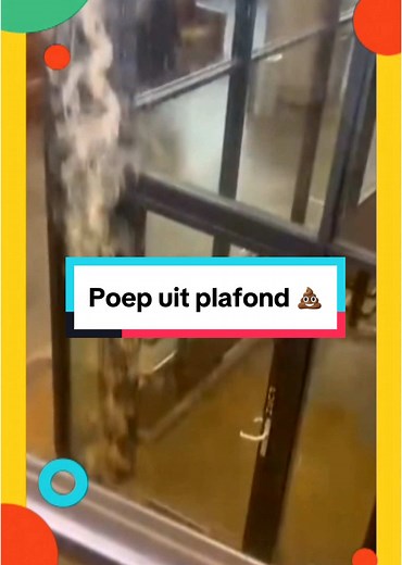 Universiteit Delft en de Poepprobleem: Een Uitzonderlijk Voorval