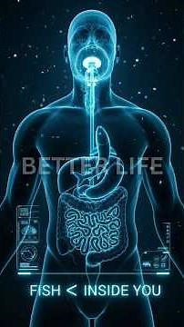 What Happens to Fish Inside Your Body — Digestion Explained (3D Science Animation)