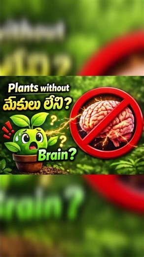 మొక్కలకు బుర్ర 🧠😱!! #nature #telugushorts #plantfacts #plants #viral #naturelovers#old#indianshorts