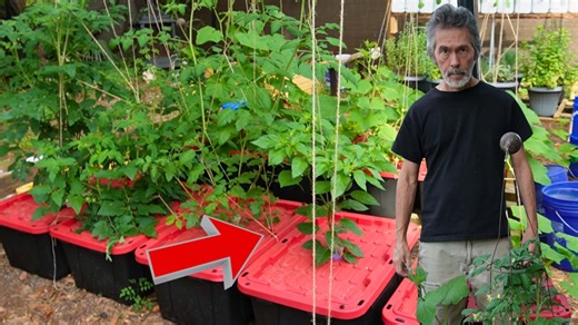 9.2K views · 204 reactions | Easy gardening for people who struggle with growing food. | Keep on Growin' | Facebook