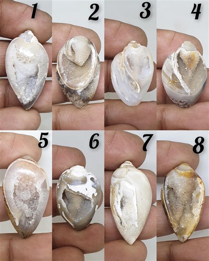 Gastropod Crystallized Fossil Shell Beautiful Gastropod Crystallized Fossil Shell Rare Gastropod Crystallized Fossil Shell for Jewelry - Etsy