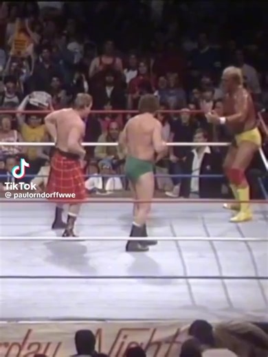 30K views · 384 reactions | Who remembers this?! | 80's Wrestling | Facebook