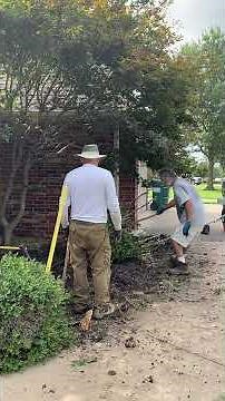 Removing Crepe Myrtle