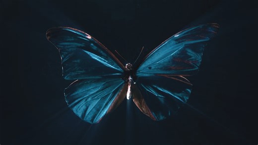 The Butterfly Effect’s Astonishing Power Over Your Life